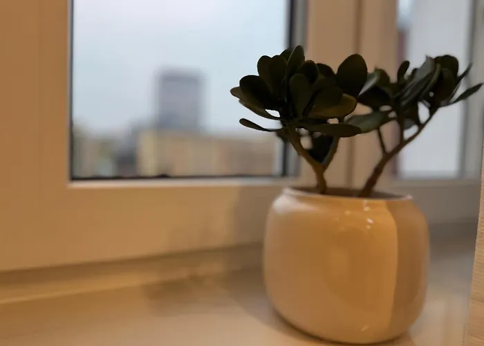 Wyjatkowe Miejsce W Sercu Wroclawia Appartement